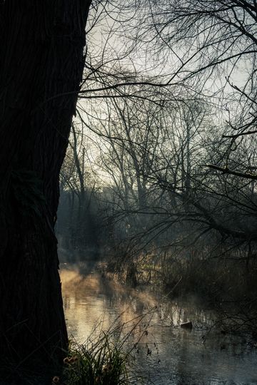 20250302-_87A2737-Enhanced-NR.jpg