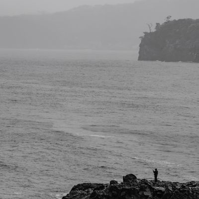 Cover photo for the album The Izu Peninsula