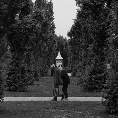 Cover photo for the album A Photo Every Day 2025
