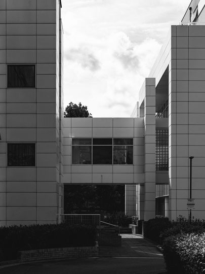 20250916-_87A5644.jpg