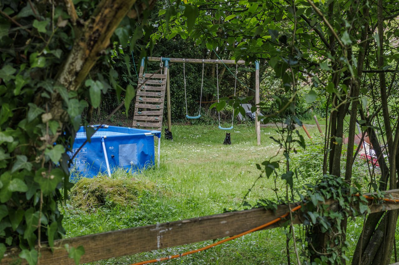 I spotted two cats in the garden of a house just across the road from the Ling Ride Car Park on the public footpath! Unfortunately, they didn't want to come and say hello.