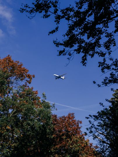 20251011-_87A6576.jpg