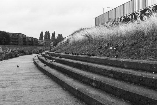 20250830-_87A5194.jpg