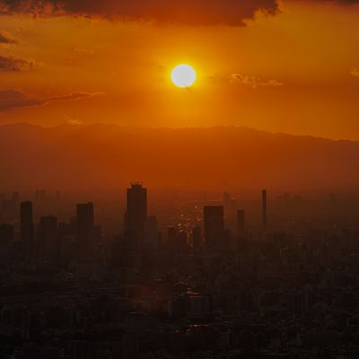 Cover photo for the album Tokyo Skytree Vistas