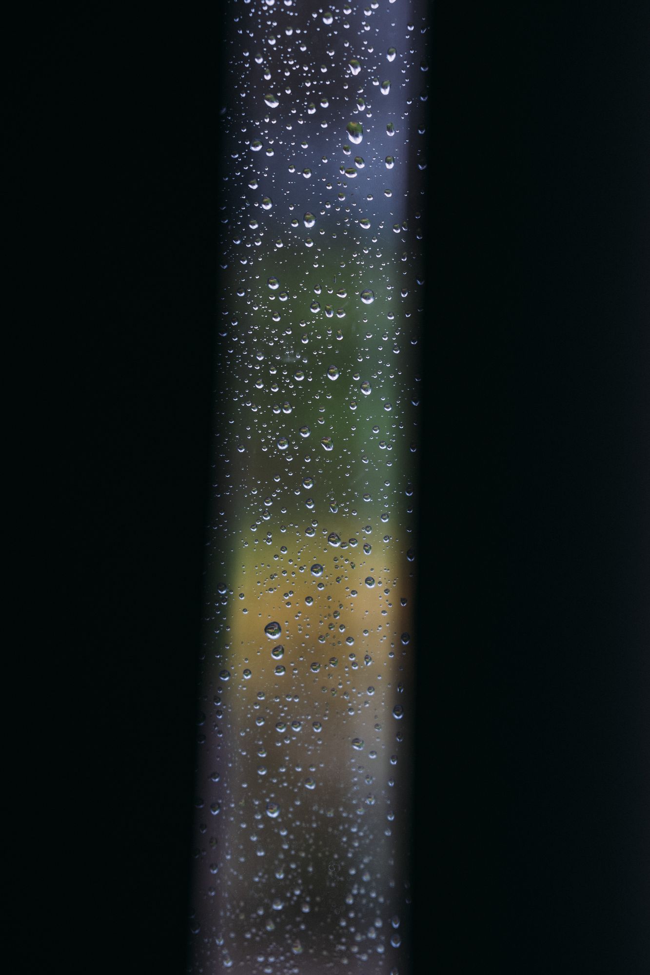 20260205-_DSC0843.jpg