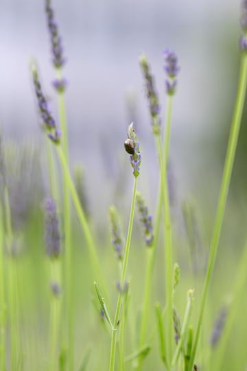 20260614-_DSC5631.jpg