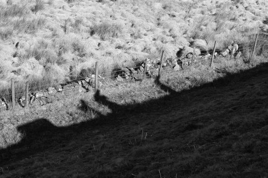 20250316-_87A4024-Enhanced-NR.jpg