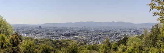 20240414-3_87A0903-Pano.jpg