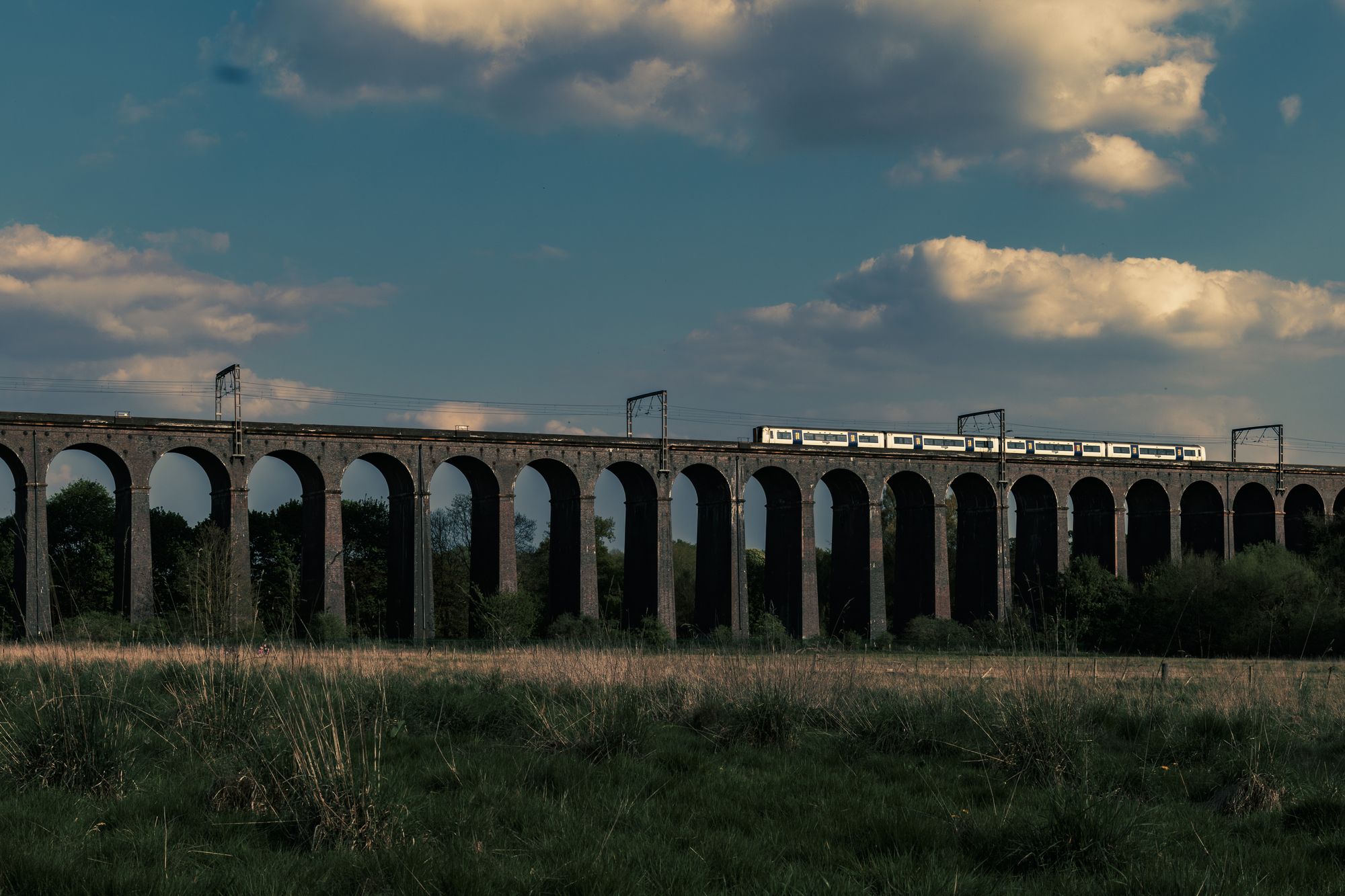 20250427-_87A6525-Enhanced-NR.jpg