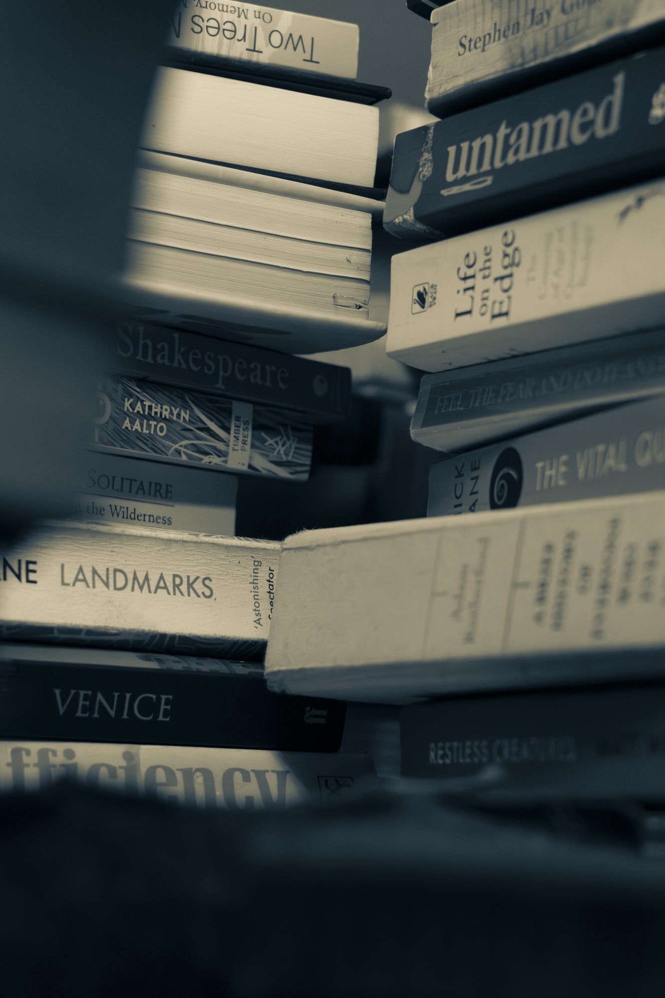 20250310-_87A3152-Enhanced-NR.jpg