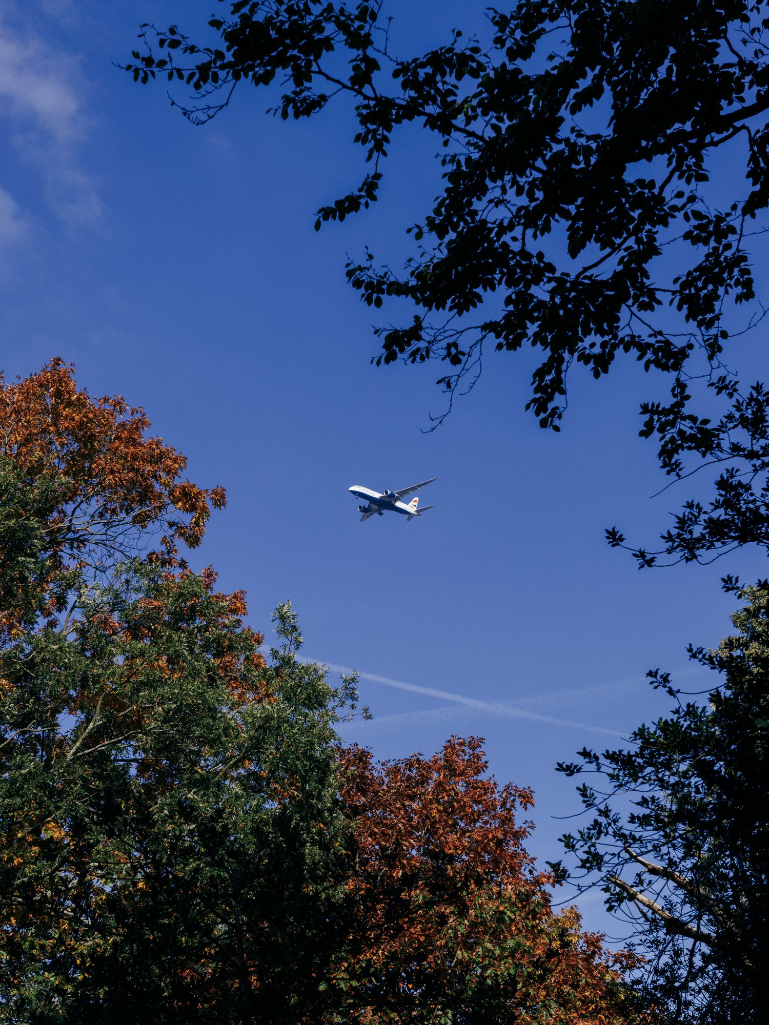 20251011-_87A6576.jpg