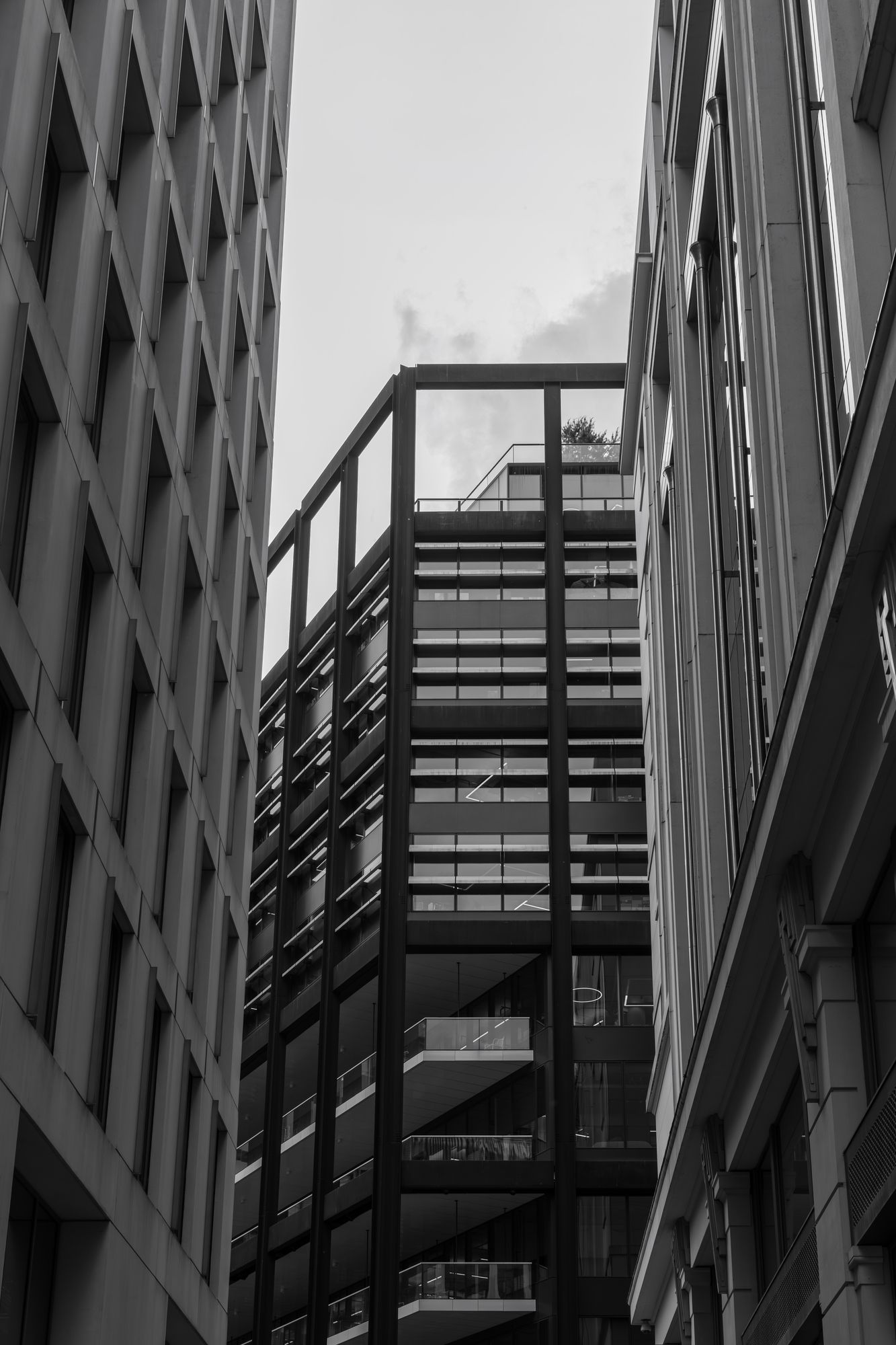 20250501-_87A6653-Enhanced-NR.jpg