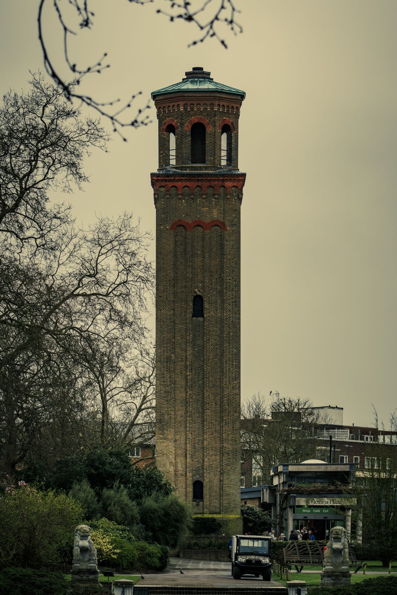 20240322-_87A9176-Enhanced-NR.jpg