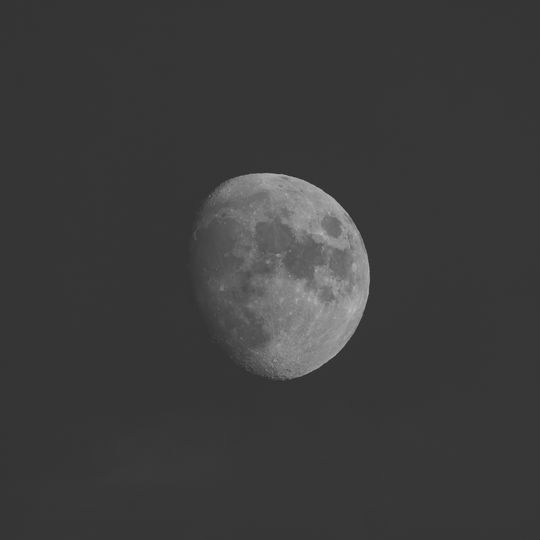 20260625-_87A7598.jpg
