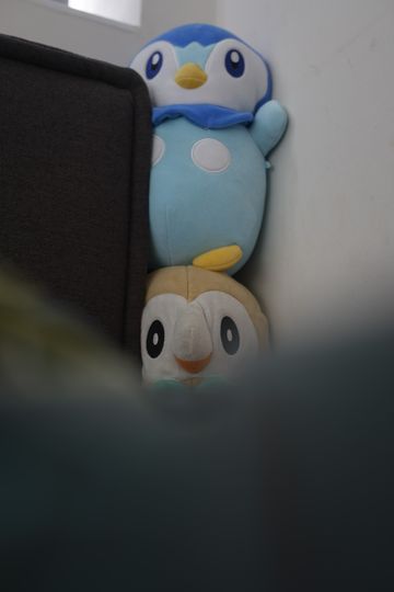 20260425-_DSC3510.jpg