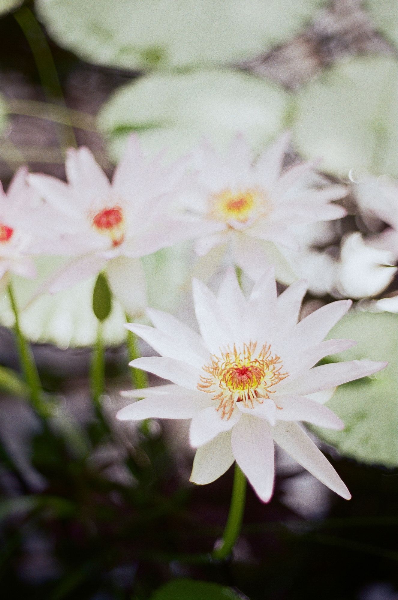 000014400025.JPG