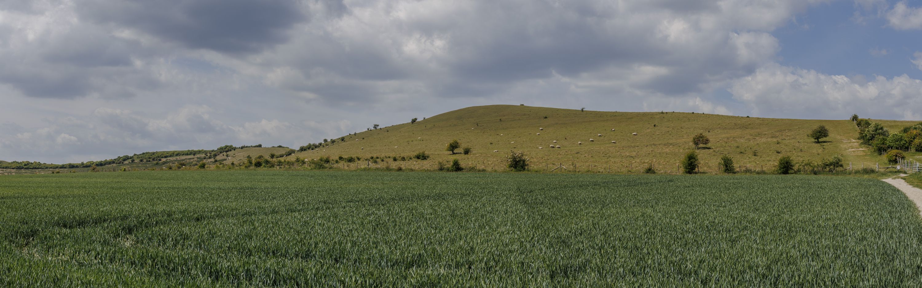 Panorama of Gallows Hill and Beacon Hill, with the path leading up the hill to the right.