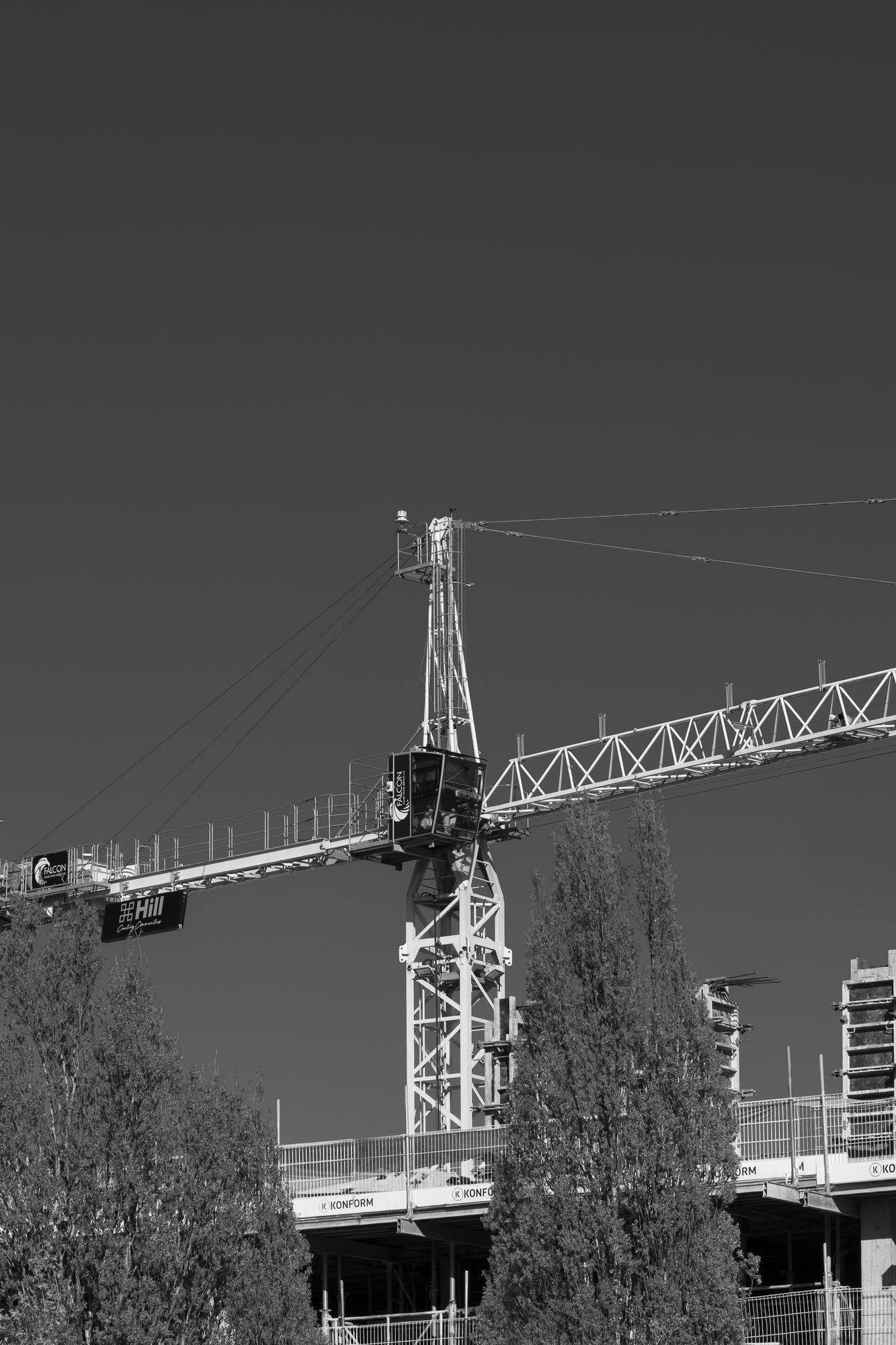 20250416-_87A5515-Enhanced-NR.jpg
