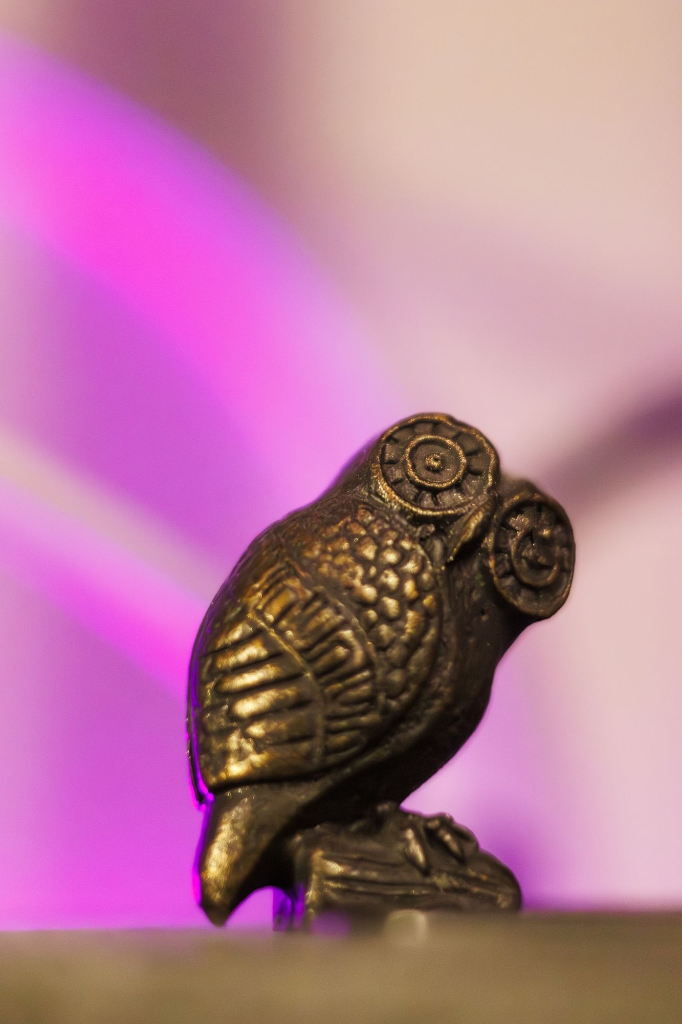 20250120-_87A9549-Enhanced-NR.jpg