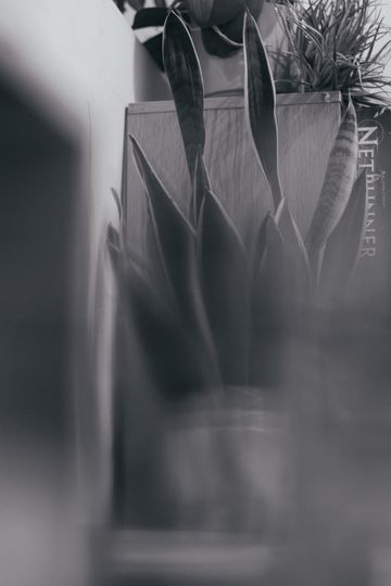 20250318-_87A4065-Enhanced-NR.jpg