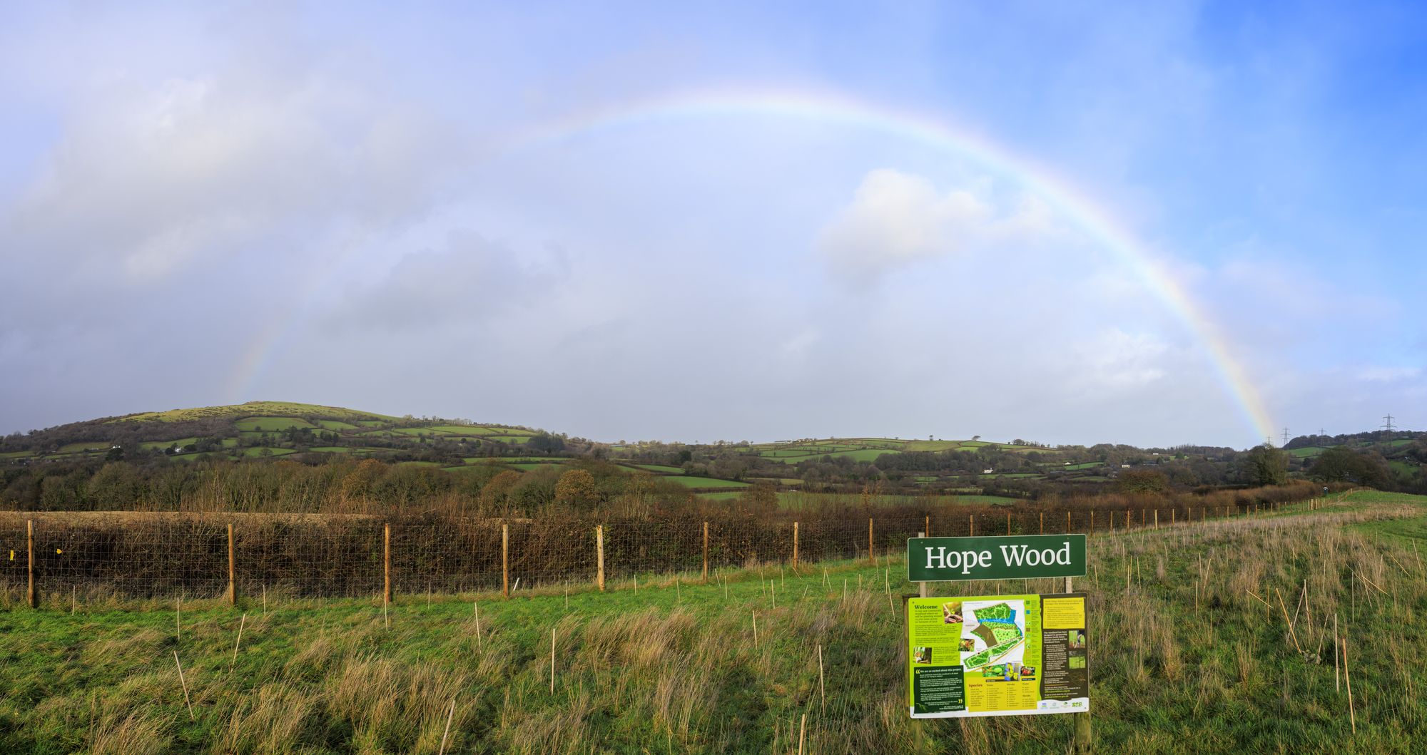 20251206-_87A8671-Pano.jpg