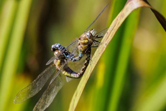 20240916-_87A5747-Enhanced-NR.jpg