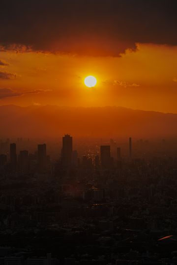 20240425-3_87A2922-Enhanced-NR.jpg
