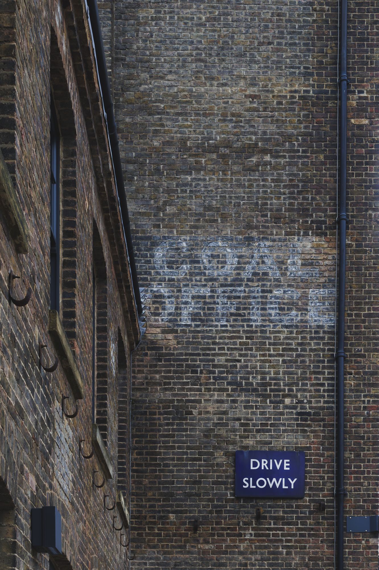 20250515-_87A9164-Enhanced-NR.jpg