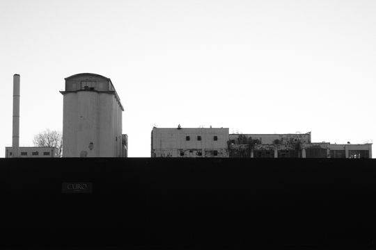 20260428-_DSC3556.jpg