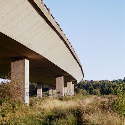 Cover photo for the album Film Photography - Olympus OM-10