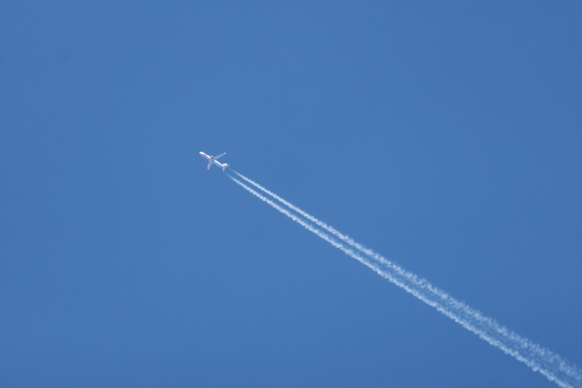 20250517-_87A9183-Enhanced-NR.jpg