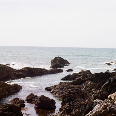 Cover photo for the album Film Photography - Olympus OM-10