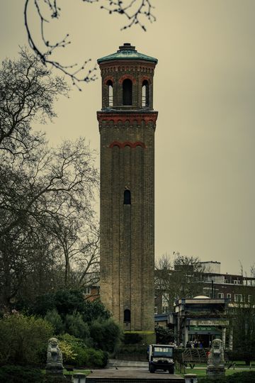 20240322-_87A9176-Enhanced-NR.jpg