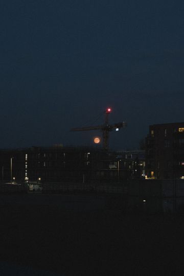 20250610-_87A1337-Enhanced-NR.jpg