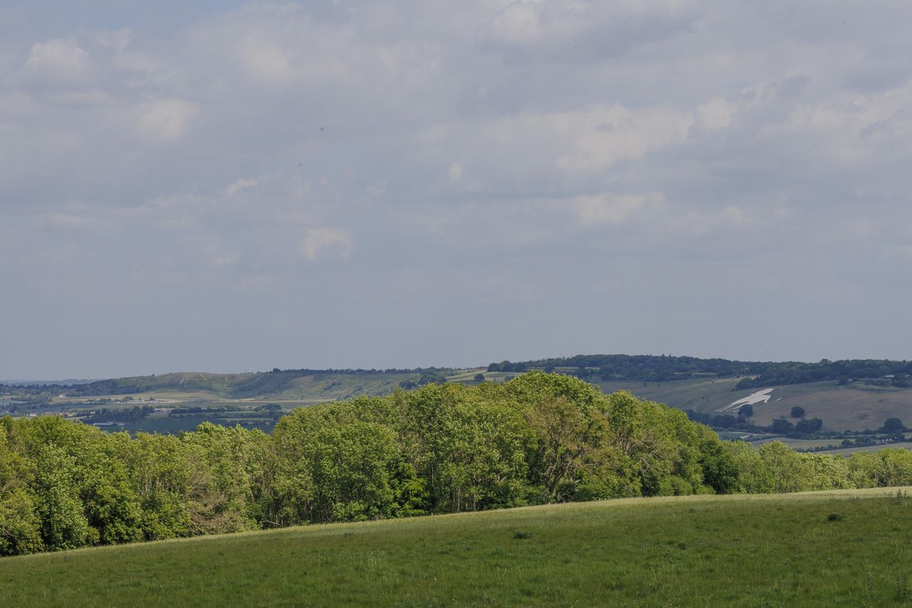 Spotting the Whipsnade White Lion, next to Whipsnade Zoo. Also the Dunstable Downs, which I'll have to do another post on.