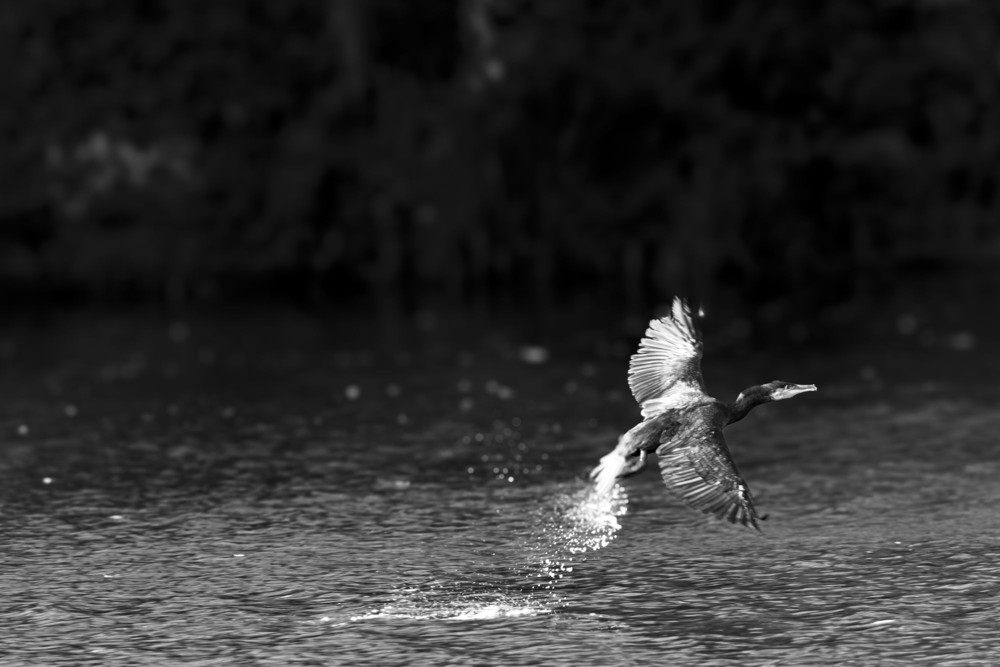 20231105-_87A0479-Enhanced-NR-2.jpg