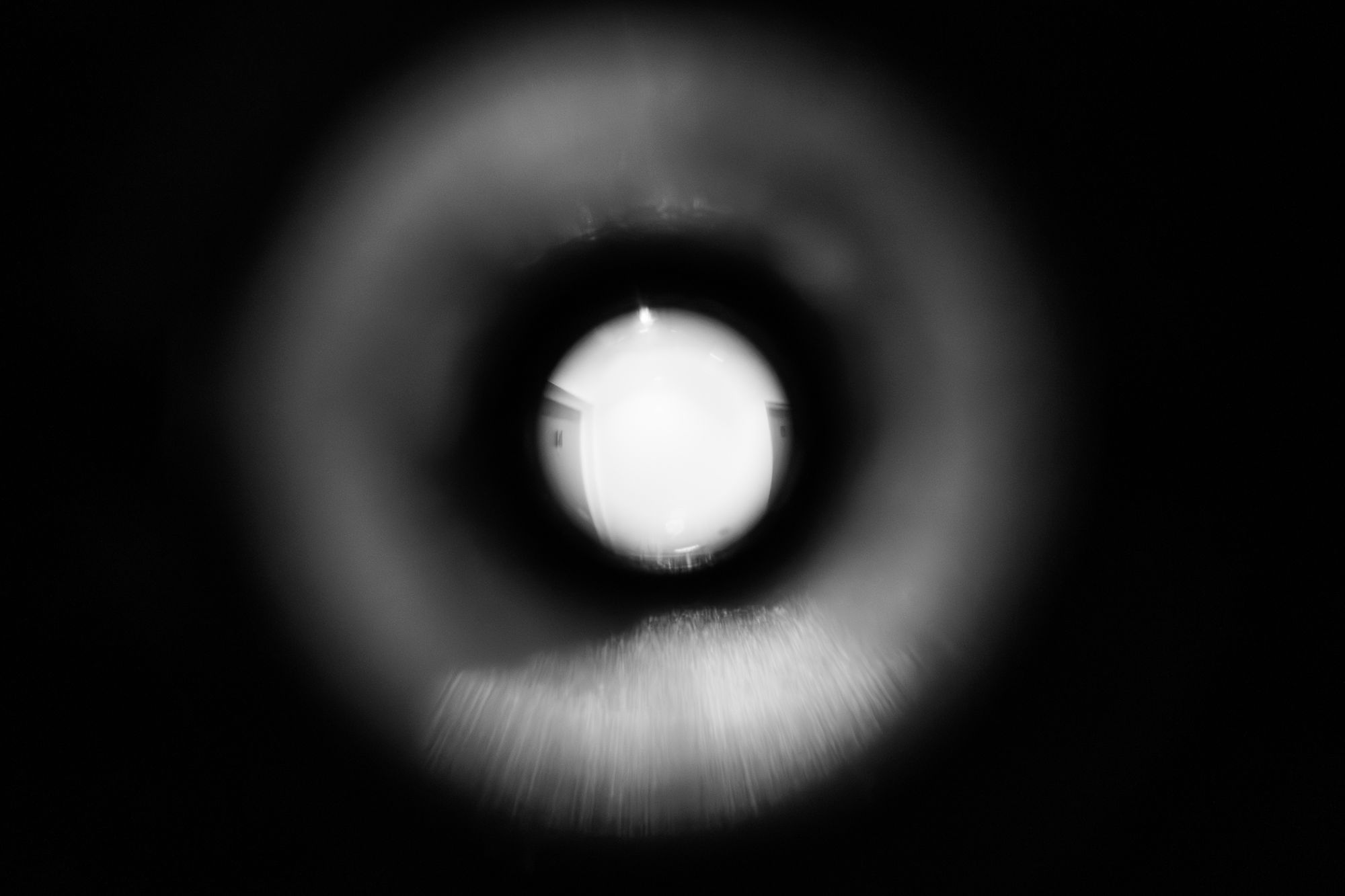 20250305-_87A2947-Enhanced-NR.jpg
