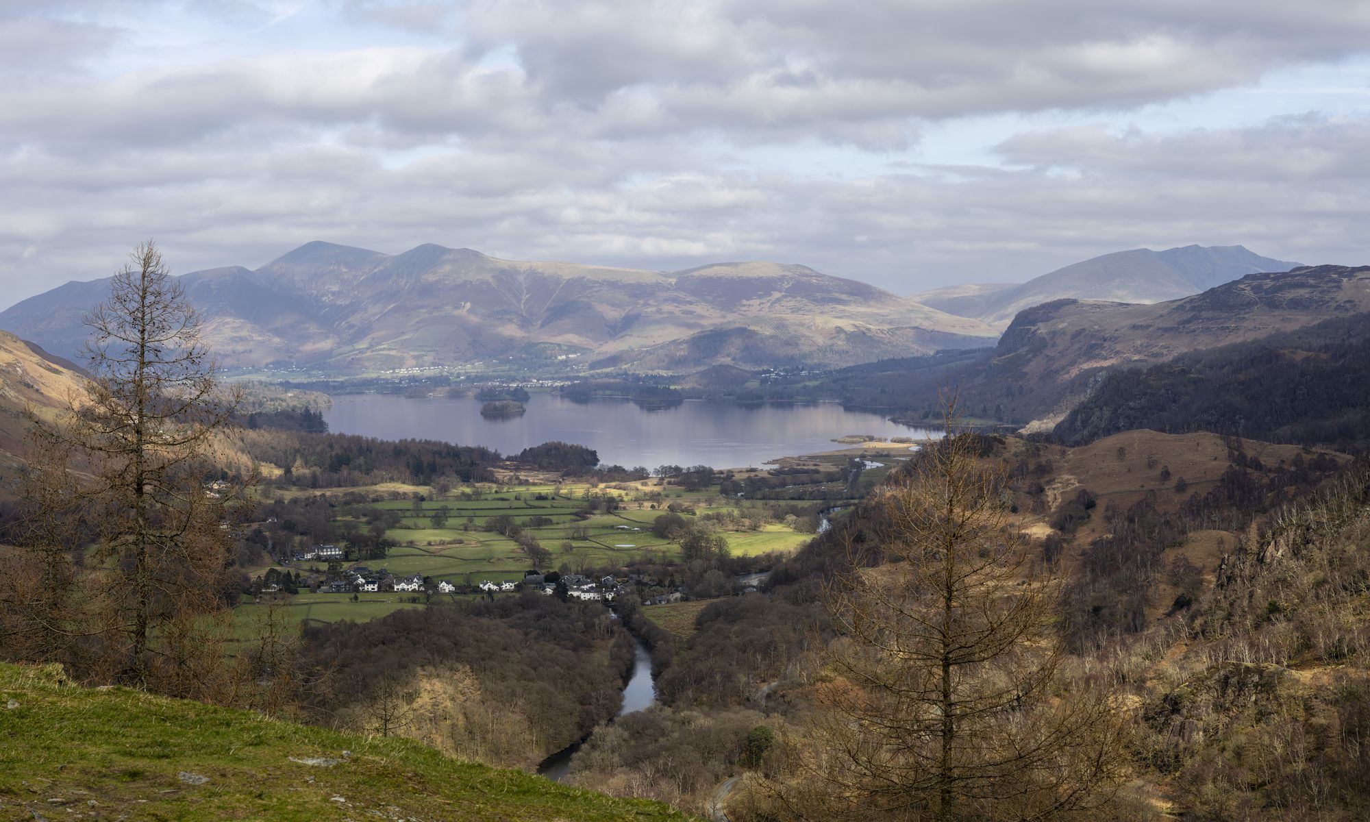 20260318-_87A4557-Pano.jpg