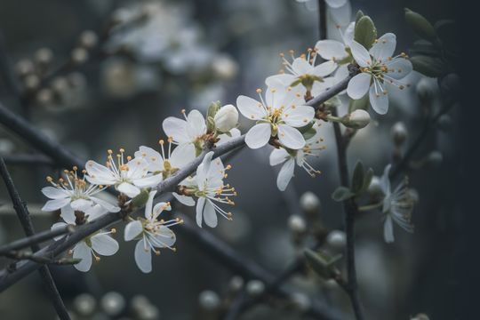 20260312-_87A3872.jpg