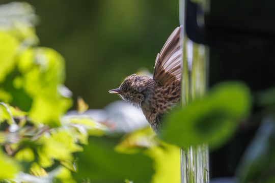 20260523-_87A7223.jpg