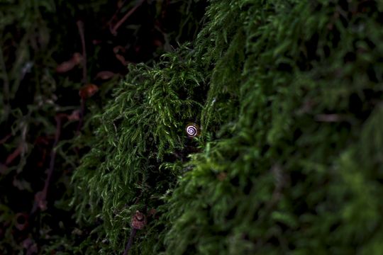 20230806-_MG_7801-Enhanced-NR.jpg