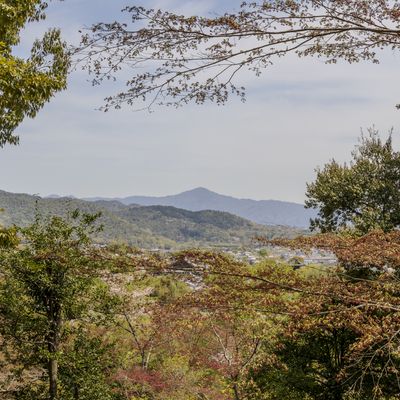Cover photo for the album Kyoto Wanders