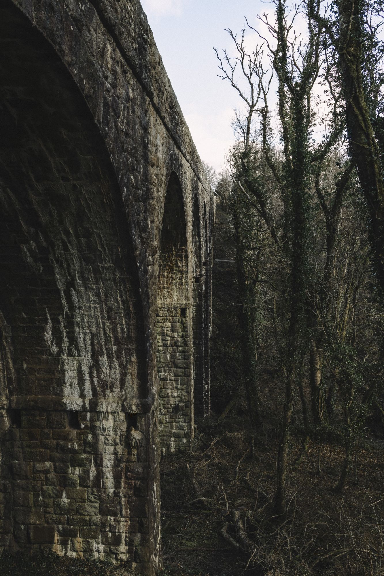 20250315-_87A3416-Enhanced-NR.jpg