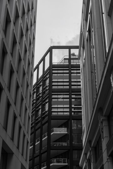 20250501-_87A6653-Enhanced-NR.jpg