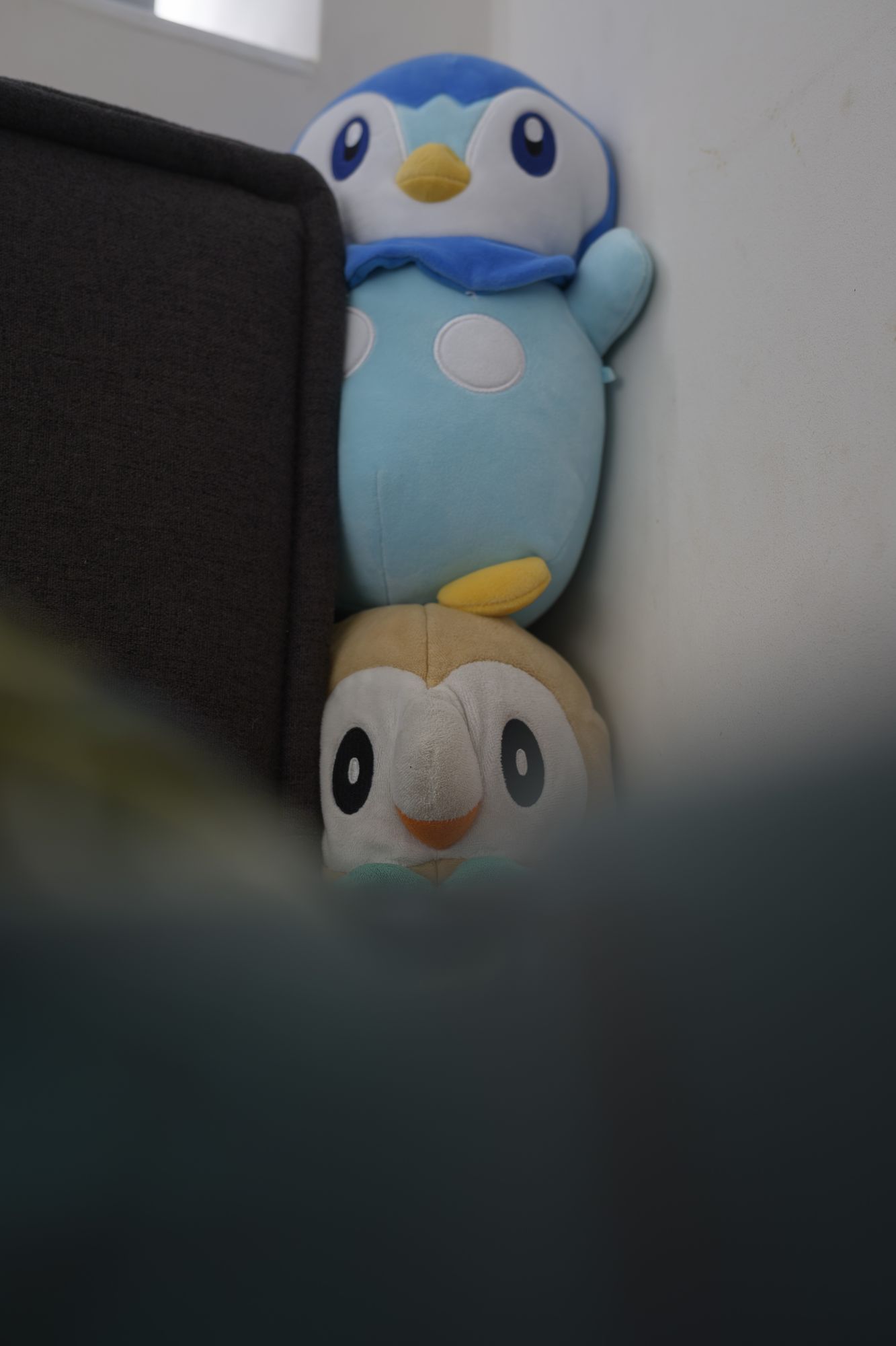 20260425-_DSC3510.jpg