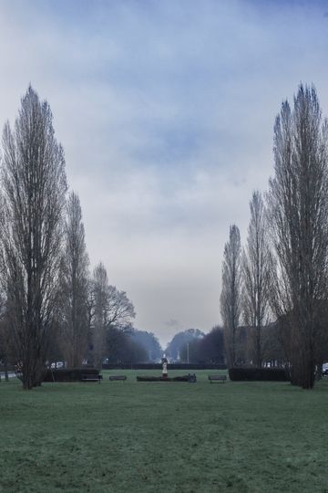 20250104-_87A8295-Enhanced-NR.jpg