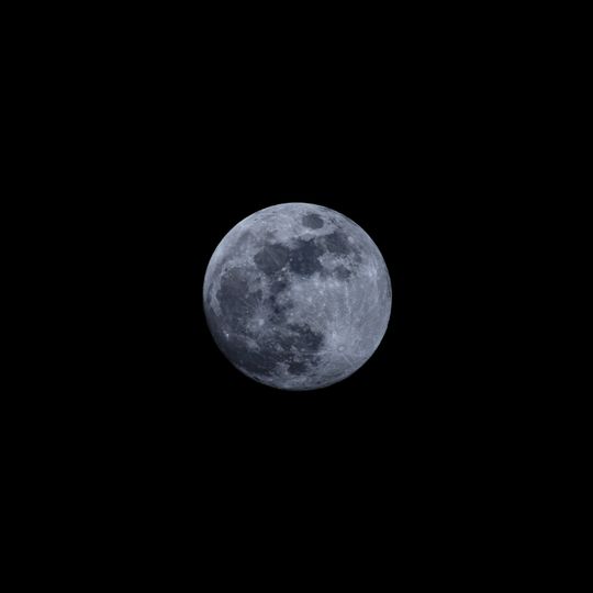 20260302-_87A2581.jpg