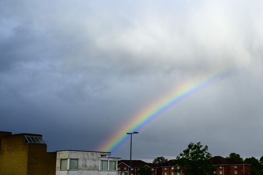 20260513-_DSC4039.jpg