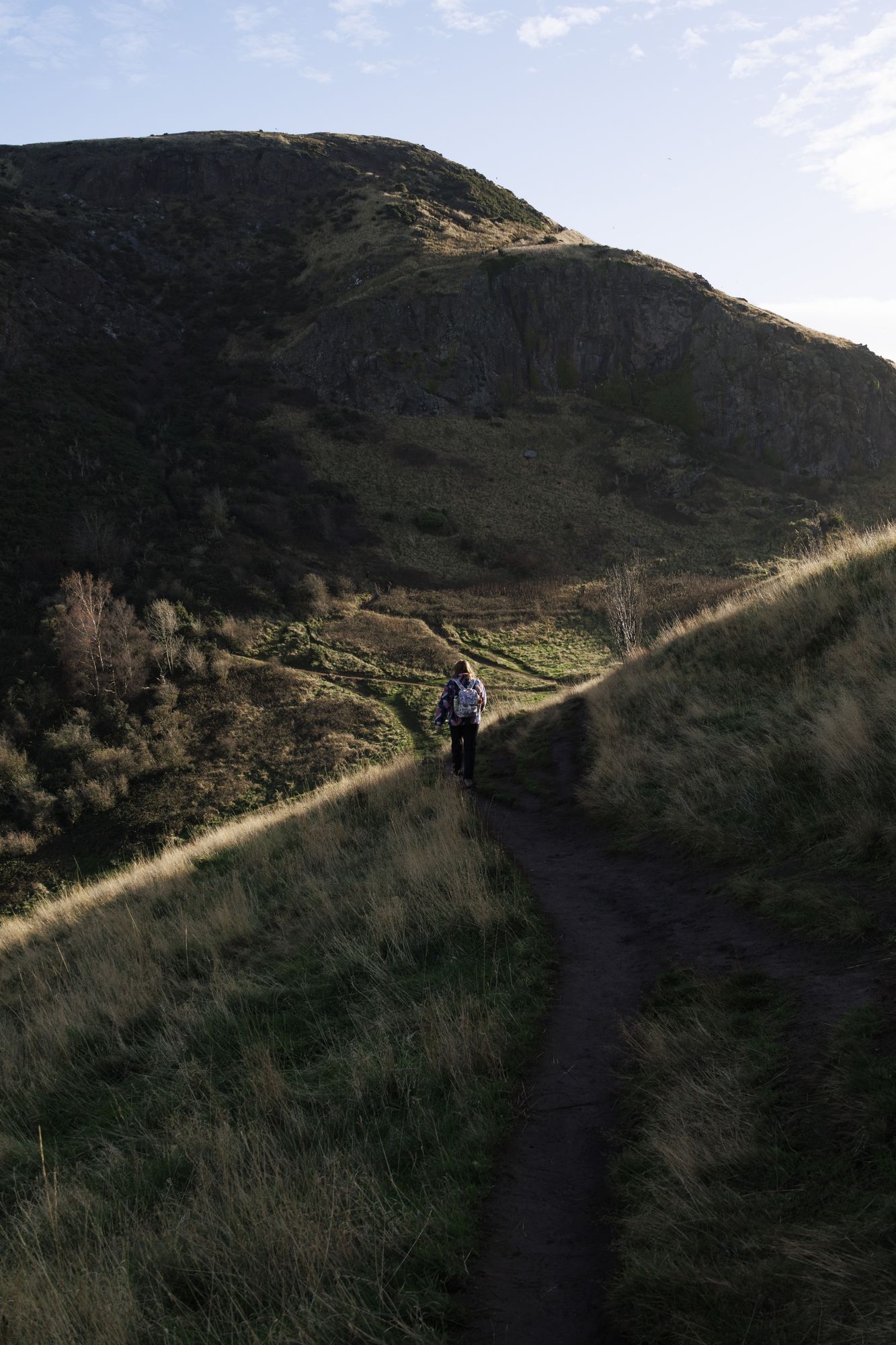 20241111-_87A6150-Enhanced-NR.jpg