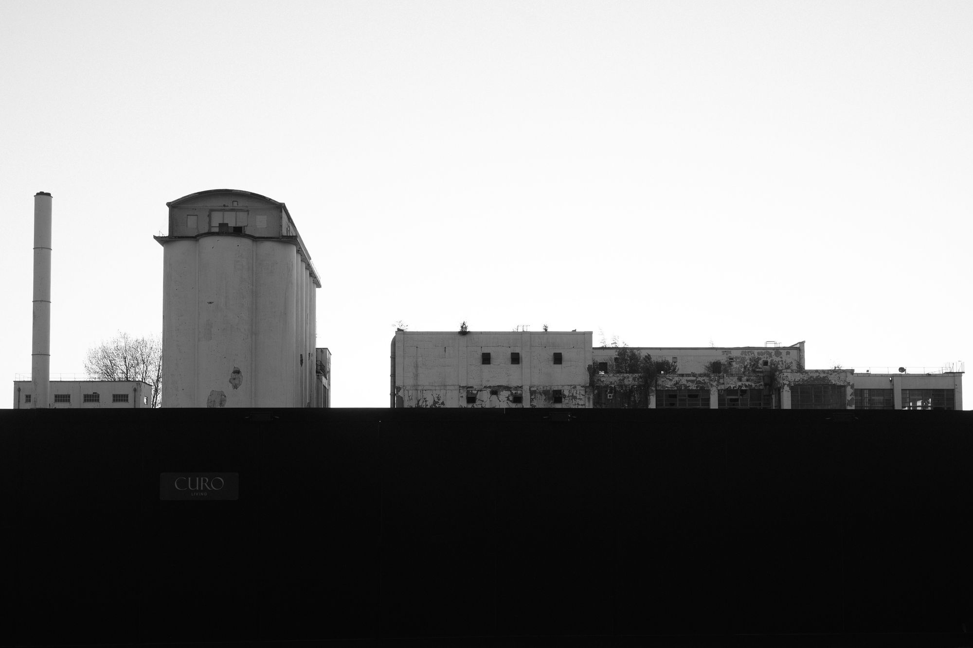 20260428-_DSC3556.jpg